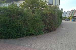 Vielseitiges Reihenendhaus mit Garten in Ludwigshafen-Oggersheim – Die vollständige Adresse der Immobilie erhältst du vom Anbieter., 67071 Oggersheim, Ludwigshafen am Rhein – Vorschaubild 22