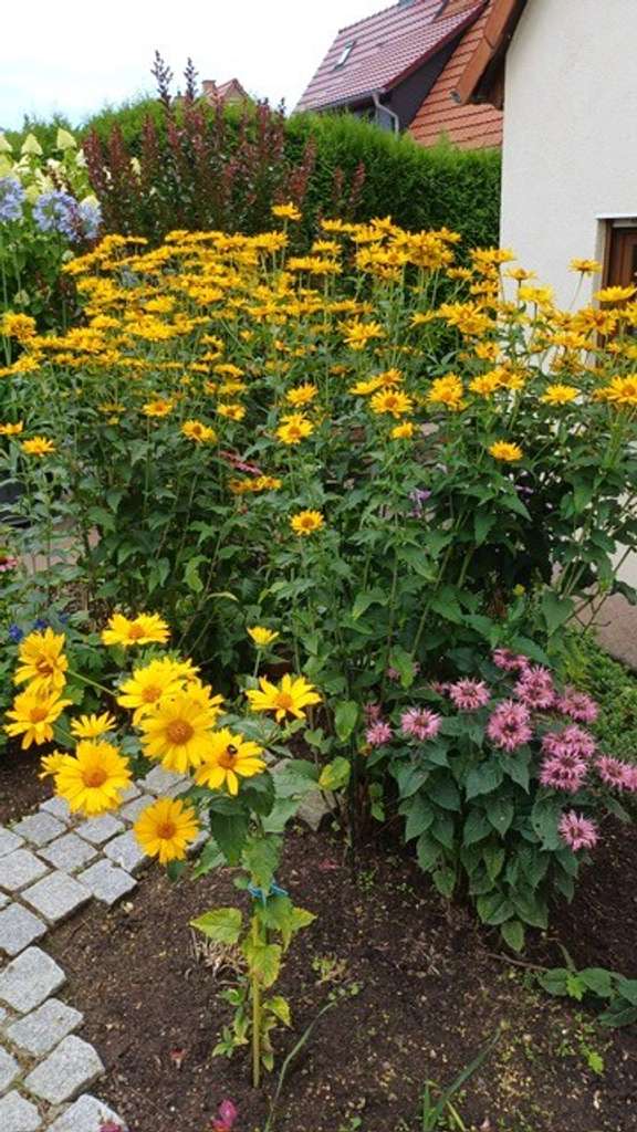 Immobilie in Weimar - Geräumiges Einfamilienhaus in Oberweimar - Bild 0