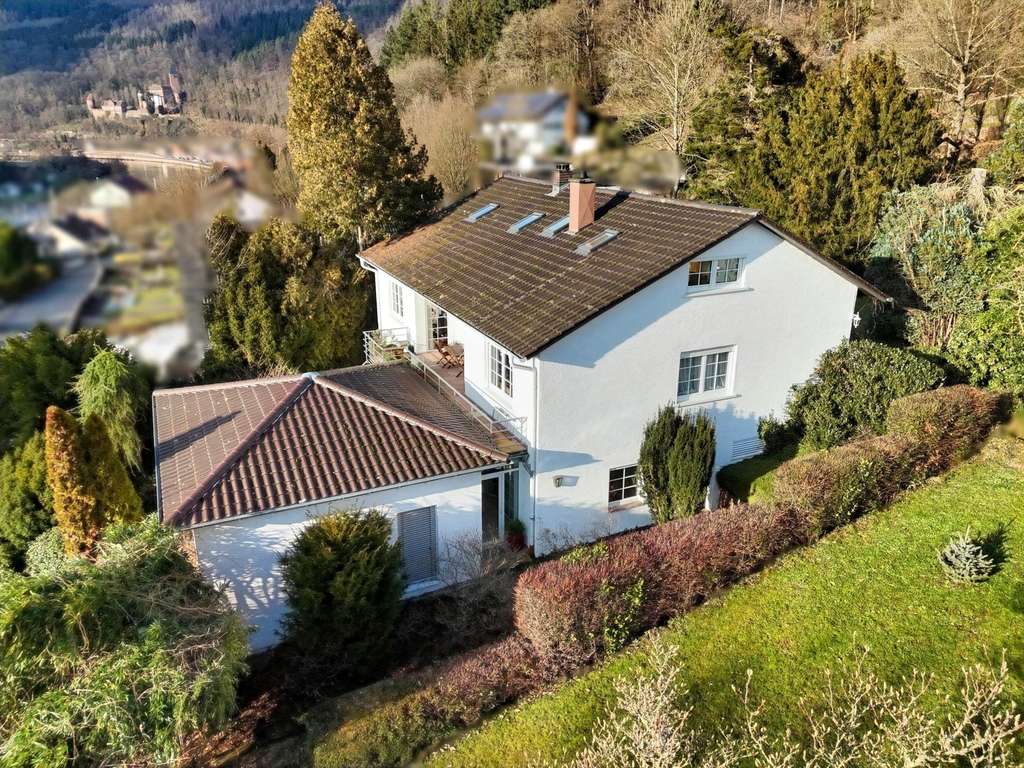 Immobilie in Zwingenberg - Ihr Traumhaus in Zwingenberg  - Bild 2