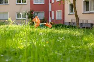 Gemütliche Single-Wohnung – Wordstr. 1, 45143 Altendorf, Essen – Vorschaubild 10