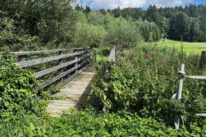 Idyllisches Refugium mit Garten – Die vollständige Adresse der Immobilie erhältst du vom Anbieter., 94532 Außernzell – Vorschaubild 1