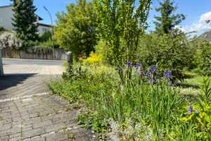 Viel Platz und Privatsphäre auf 2 Ebenen mit parkähnlichem Traumgrundstück – Lichtenfels (Kreis) – Vorschaubild 53