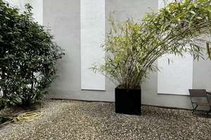 ***BRÜCKENSTRASSE***Wunderschönes, teilmöbliertes Architekten-Loft mit eigenem Garten*** – Kleine Brückenstraße 3, 60594 Sachsenhausen-Nord, Frankfurt am Main – Vorschaubild 19