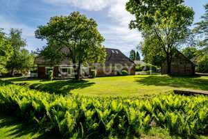 ** Traumhafter Landsitz mit Schwimmteich und Quellbach  ** – Diepholz (Kreis) – Vorschaubild 13