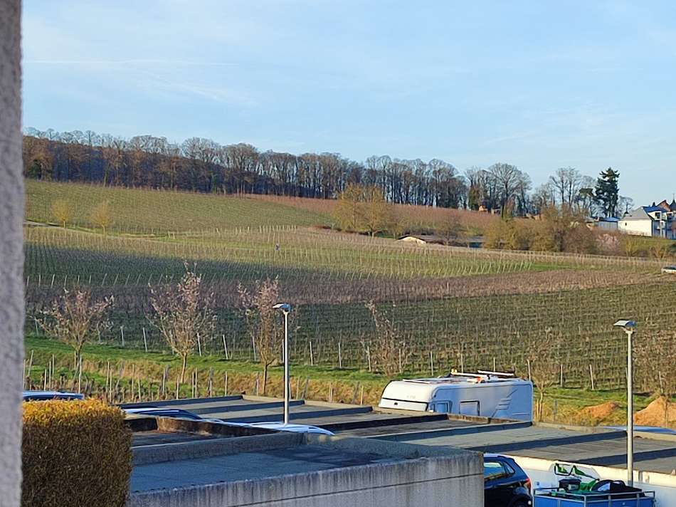 Weinberge Ausblick