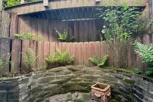 Property thumbnail 39
