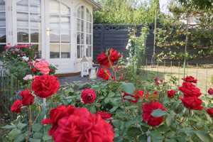 Gepflegtes Einfamilienhaus mit wunderschönem Grundstück – Gießen (Kreis) – Vorschaubild 16