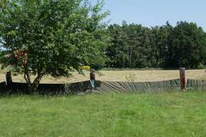 Perfekt für Handwerker... Wohnjuwel im Außenbereich – Heckenweg 3, 49685 Cloppenburg (Kreis) – Vorschaubild 18