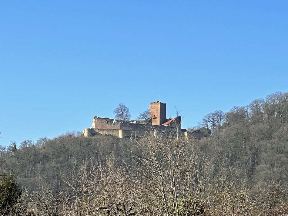 Blick auf die Burg