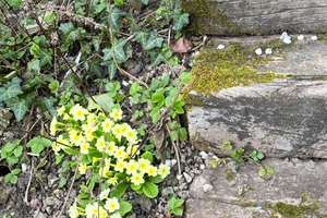 Property thumbnail 15