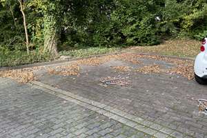 Property thumbnail 26