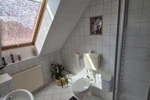 Zwei Häuser und ein Traumgrundstück mit Teich, Pool und viel Platz für Freizeit und Hobby! – Pretzscher Allee 8, 6905 Bad Schmiedeberg – Vorschaubild 51