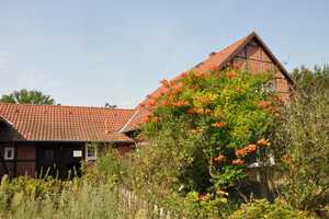 Fachwerk-Bauernhaus (EFH) mit Zwischenbau und Scheune oder sep. Bauplatz – Gifhorn (Kreis) – Vorschaubild 15