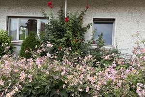 2-Zimmer-Wohnung für Vintage-Liebhaber in Feldrandlage – Die vollständige Adresse der Immobilie erhältst du vom Anbieter., 67549 Hochheim, Worms – Vorschaubild 14