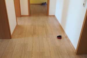 schöne ruhige 2 Raum Wohnung mit Balkon und Einbauküche – Straßburger Straße 25, 9120 Altchemnitz, Chemnitz – Vorschaubild 8