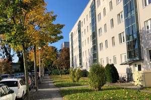 Drei Zimmer in Dresden: Ihr neues Zuhause in Tolkewitz