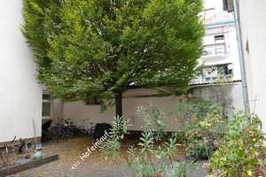 Oase der Ruhe mitten in MA-Schwetzingerstadt – Schwetzinger Str. 151, 68165 Mannheim – Vorschaubild 3