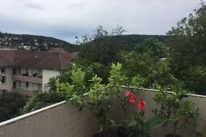 gehobene 3 Zimmerwohnung in der Friedenstrasse von privat – Friedenstrasse 11, 75173 Südweststadt, Pforzheim – Vorschaubild 13