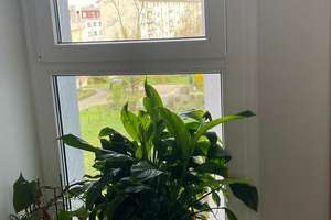 Zuhause mit 3 Zimmern in Mannheim – Carl-Benz-Straße 37, 68167 Neckarstadt-Ost/Wohlgelegen, Mannheim – Vorschaubild 6