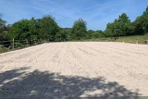 Pferdeliebhaber aufgepasst!!! Reitplatz-Wiesen-Ortsrandlage – Die vollständige Adresse der Immobilie erhältst du vom Anbieter., 36325 Feldatal – Vorschaubild 15