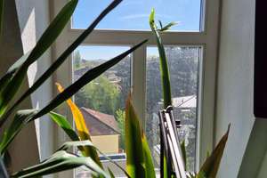+++ Attraktive Investmentchance – Vermietete Altbauwohnung nahe TU Dresden +++ – Die vollständige Adresse der Immobilie erhältst du vom Anbieter., 1187 Plauen (Stadtteil), Dresden – Vorschaubild 10