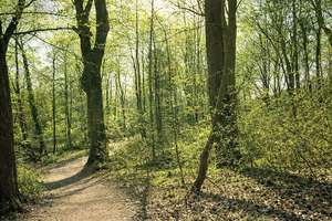 Property thumbnail 16