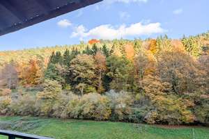Interessantes Haus, großes Grundstück, separater Bauplatz im ruhigen von Natur umgebenen Sensbachtal – Die vollständige Adresse der Immobilie erhältst du vom Anbieter., 64760 Sensbachtal – Vorschaubild 4