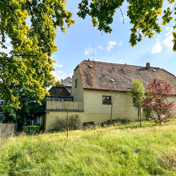 Blick ins Grüne? Hier!