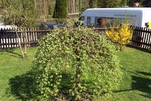 Idyllisches Wohnhaus mit Garten und Nebengebäude – Schulstraße 13, 95222 Presseck – Vorschaubild 6