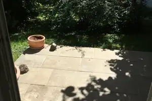 Property thumbnail 9