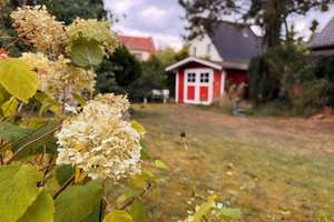 Property thumbnail 16