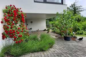 Freistehendes Einfamilienhaus mit ELW und herrlichem Ausblick – Bad Kissingen (Kreis) – Vorschaubild 12