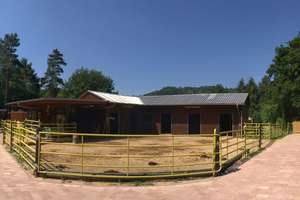 Reitanlage mit Stall und schönen Landhaus in St. Ingbert-Hassel zu verkaufen. – Die vollständige Adresse der Immobilie erhältst du vom Anbieter., 66386 Sankt Ingbert – Vorschaubild 15