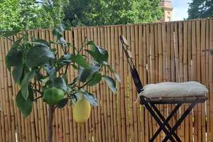 Schöne, helle 2-Zi.-Wohnung in Stuttgart-Feuerbach – Die vollständige Adresse der Immobilie erhältst du vom Anbieter., 70469 Lemberg/Föhrich, Stuttgart – Vorschaubild 17