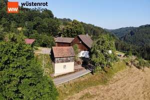 Bauernhof in traumhafter Landschaft ! – Die vollständige Adresse der Immobilie erhältst du vom Anbieter., 77728 Oppenau – Vorschaubild 5