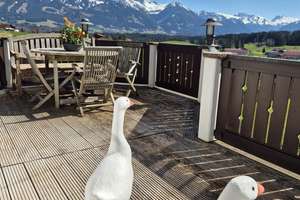 Bergpanorama & Altbaucharme PUR - Traumhaftes Anwesen in Alleinlage von Ofterschwang im Oberallgäu – Die vollständige Adresse der Immobilie erhältst du vom Anbieter., 87527 Ofterschwang – Vorschaubild 11