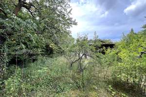 Großzügiges Zuhause mit Charakter und Potenzial nahe der Müggelspree – Elsterstraße 28, 12526 Bohnsdorf, Berlin – Vorschaubild 9