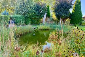 Großzügiges Zweifamilienhaus in Liebenau mit großem Garten / Teich / Sauna und drei Garagen! – Die vollständige Adresse der Immobilie erhältst du vom Anbieter., 31618 Liebenau – Vorschaubild 23