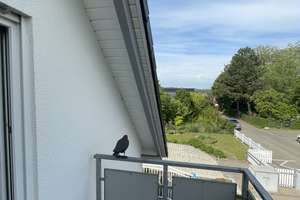 Freistehendes Familienhaus mit Doppelgarage auf 600 m² Grundstück in Stuttgart-Steinhaldenfeld – Im Feldle 33, 70379 Steinhaldenfeld, Stuttgart – Vorschaubild 26