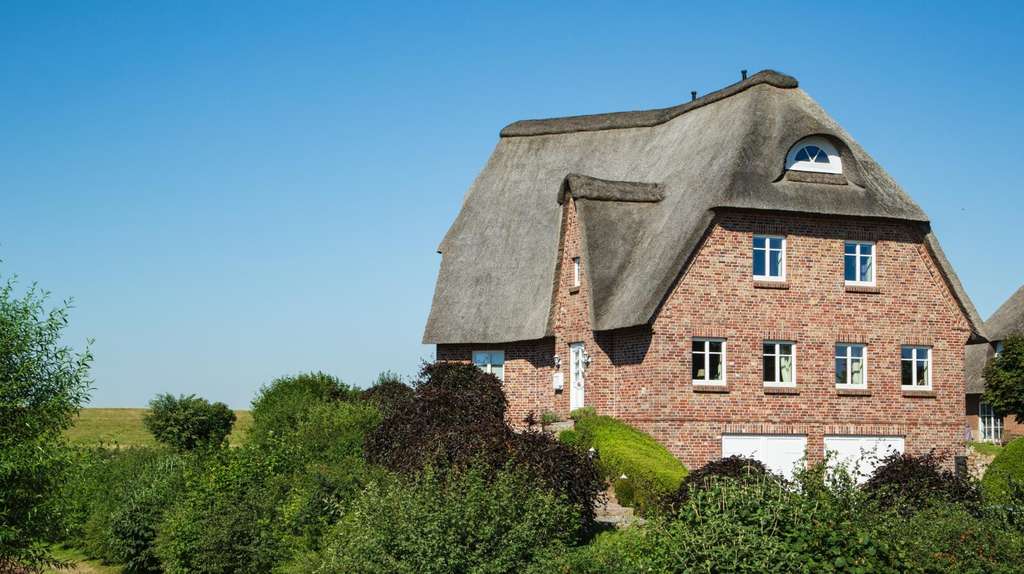 Immobilie in Glückstadt - Reetgedecktes Warfthaus mit Elbblick in traumhafter Lage - Bild 1