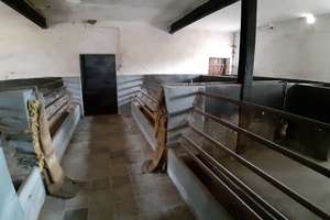 Ein Geheimtipp! Außergewöhnlicher Resthof mit angrenzender Weidefläche in Wahrenholz-Betzhorn – Die vollständige Adresse der Immobilie erhältst du vom Anbieter., 29399 Wahrenholz – Vorschaubild 26