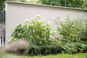 Property thumbnail 36