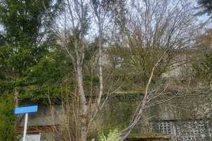 *31_1*Baugrundstück mit DHH`en*Toplage*ca. 740m²*Östringen-Tiefenbach – Karlsruhe (Kreis) – Vorschaubild 6