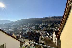 GLOBAL INVEST SINSHEIM | 2-3-Familienhaus in toller Lage von Ziegelhausen mit unverbaubarem Blick – Die vollständige Adresse der Immobilie erhältst du vom Anbieter., 69118 Ziegelhausen, Heidelberg – Vorschaubild 17