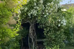 DHH mit traumhaftem Garten in Schmiechen - Ideal für Familien und Pendler! – Aichach-Friedberg (Kreis) – Vorschaubild 14