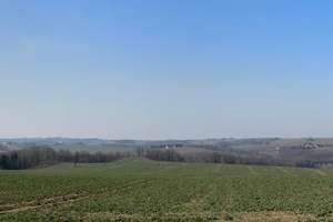 zentral und ruhig gelegener Bauernhof mit Charme + Potenzial (Denkmalschutz) – Die vollständige Adresse der Immobilie erhältst du vom Anbieter., 4736 Ziegra-Knobelsdorf – Vorschaubild 47