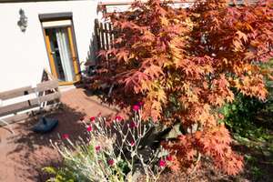 Reihenmittelhaus mit Anbau, großen Balkon, Terrasse, Garten und Garage in Salzgitter- Bad – Die vollständige Adresse der Immobilie erhältst du vom Anbieter., 38259 Salzgitter-Bad, Salzgitter – Vorschaubild 31