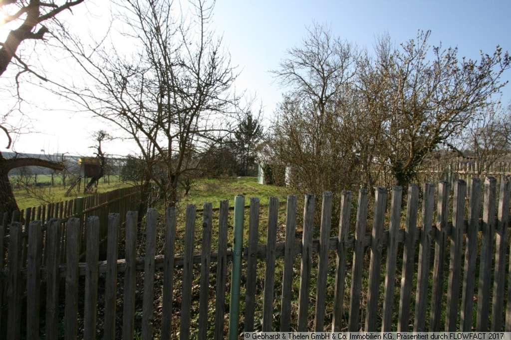 Immobilie in Grabfeld - Bauernhaus mit Scheune, viel Platz und zusätzlichem Gartengrundstück – ländliche Lage in Queienfeld - Bild 3