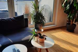 3-Zimmer-Dachgeschosswohnung in Augsburg Haunstetten – Olympiastrasse 21, 86179 Haunstetten-Nord, Augsburg – Vorschaubild 2
