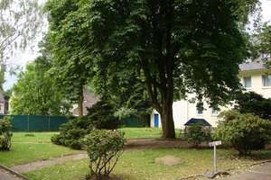 *gepflegt* *ruhig* *allg. Garten* *Parkplatz mögl.* – Am Zehnthof 44, 45139 Frillendorf, Essen – Vorschaubild 13